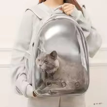 Transparent Pet Carrier Backpack – Space Capsule Design for Cats & Small Dogs